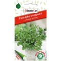 PORTULAKA WARZYWNA pospolita nasiona 0,3g Plantico Mini Ogród