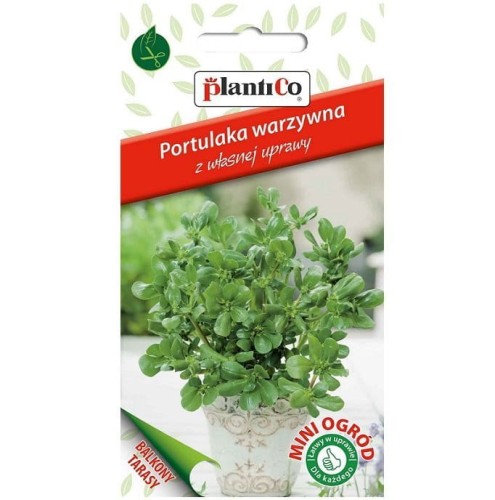 PORTULAKA WARZYWNA pospolita nasiona 0,3g Plantico Mini Ogród