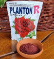 PLANTON R nawóz do róż i krzewów kwitnących 200g