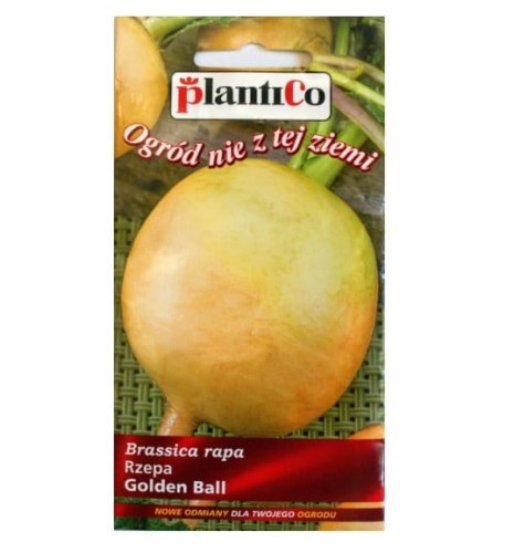 Rzepa jadalna żółta GOLDEN BALL nasiona 5g