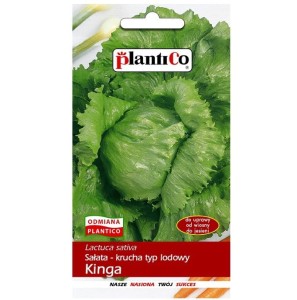 Sałata KINGA - krucha lodowa chrupiąca soczysta średniowczesna - nasiona 1g