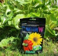 PLANTON W nawóz do bylin roślin wieloletnich 200g