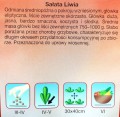 Sałata rzymska długolistna LIWIA nasiona 1g