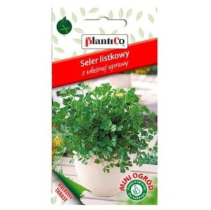 SELER LISTKOWY doniczkowy Mini Ogród nasiona 0,2g