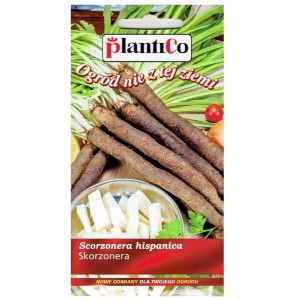SKORZONERA wężymord czarny korzeń nasiona 2g