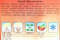 Szpinak warzywny ASTA F1 nasiona Plantico 10g