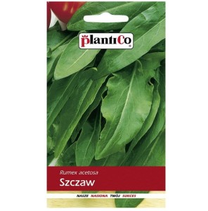 SZCZAW nasiona szczawiu marki Plantico 2g