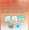 SZCZAW nasiona szczawiu marki Plantico 2g