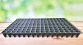 WIELODONICZKI palety rozsadowe ROKO 32/160/G 10szt