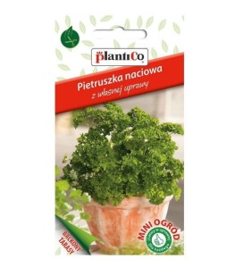 PIETRUSZKA NACIOWA - na natkę do doniczki - nasiona PlantiCo Mini Ogród 2g