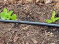 Taśma kroplująca co 10cm Rivulis T-TAPE TSX 100m