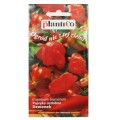 PAPRYKA OZDOBNA Dzwonek chili ostra nasiona 0,2g