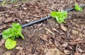 Taśma kroplująca co 10cm Rivulis T-TAPE TSX 100m