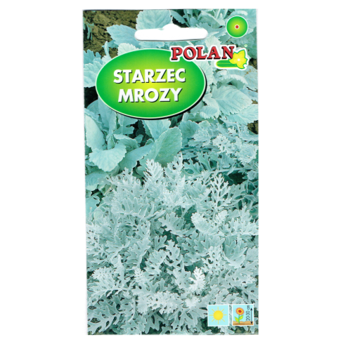 Starzec - Mrozy nasiona kwiatów Plantico 0,2g