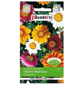 Gazania błyszcząca MIESZANKA nasiona kwiatów  0,3g