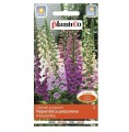 Naparstnica purpurowa MIX nasiona kwiatów 0,3g