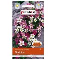 Skalnica nasiona kwiatów Plantico 0,05g