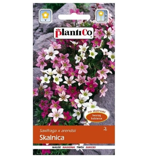 Skalnica nasiona kwiatów Plantico 0,05g