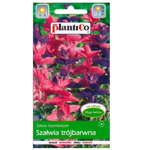 Szałwia trójbarwna nasiona kwiatów Plantico 0,5g