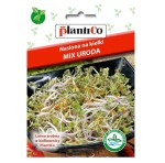 Mix Uroda - nasiona na kiełki 20g - kozieradka koper lucerna rzodkiewka