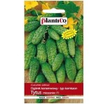 Ogórek TYTUS F1 - konserwowy korniszon plenny - nasiona PlantiCo 3g