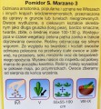 Pomidor gruntowy wysoki S. MARZANO-3 nasiona 0,2g