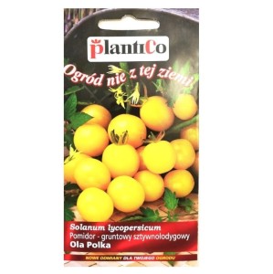 Pomidor koktajlowy żółty OLA POLKA typ cherry - nasiona marki PlantiCo 0,5g