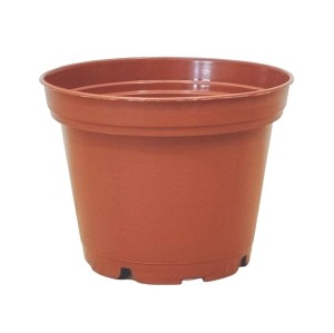 DONICZKA PRODUKCYJNA 0,2L 7cm OK - do uprawy sadzonek kaktusów sukulentów