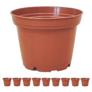 Doniczki produkcyjne małe Teku 0,16L 6cm OK x 10szt. - na kaktusy sukulenty