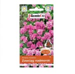 ZAWCIĄG NADMORSKI bylina na skalniak nasiona 0,1g