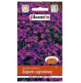 ŻAGWIN OGRODOWY Aubrieta - nasiona kwiatów 0,3g