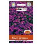 ŻAGWIN OGRODOWY Aubrieta - nasiona kwiatów 0,3g