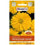 SŁONECZNICZEK szorstki ŻÓŁTY Heliopsis nasiona 1g