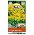 SMAGLICZKA SKALNA Alyssum nasiona kwiatów 0,5g