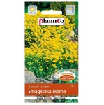 SMAGLICZKA SKALNA nasiona PlantiCo 0,5g - Alyssum saxatile, żółta bylina