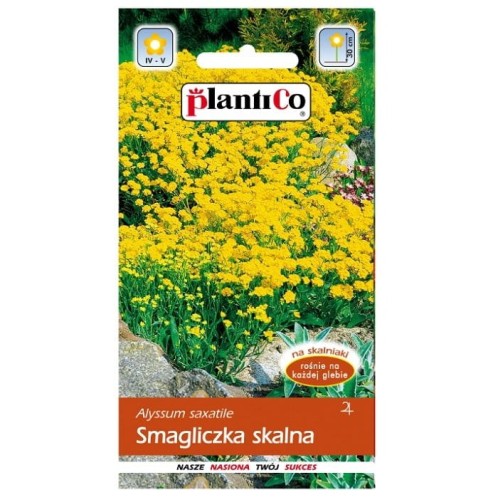 SMAGLICZKA SKALNA Alyssum nasiona kwiatów 0,5g