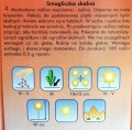 SMAGLICZKA SKALNA Alyssum nasiona kwiatów 0,5g