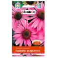 RUDBEKIA PURPUROWA - nasiona kwiatów 0,5g