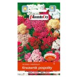 KRWAWNIK POSPOLITY MIX nasiona kwiatów 0,3g