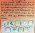 KRWAWNIK POSPOLITY MIX nasiona kwiatów 0,3g