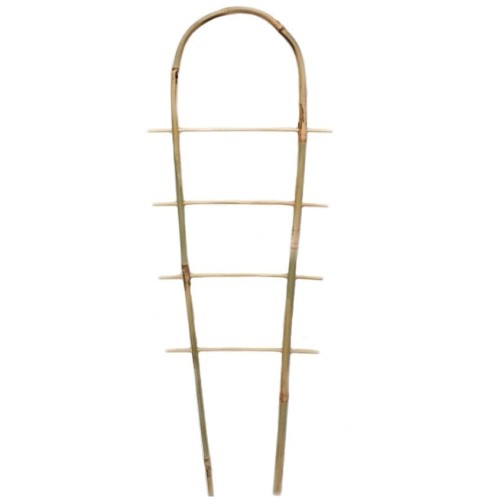 DRABINKA BAMBUSOWA wygięta w ŁUK 60cm