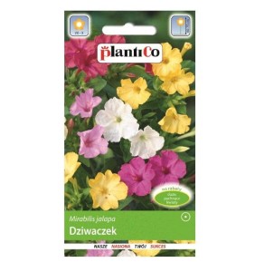DZIWACZEK Mirabilis nasiona kwiatów Plantico 3g