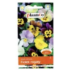 FIOŁEK ROGATY bratek mini nasiona kwiatów 0,3g