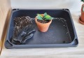 kuweta-prosperplast-2.jpg