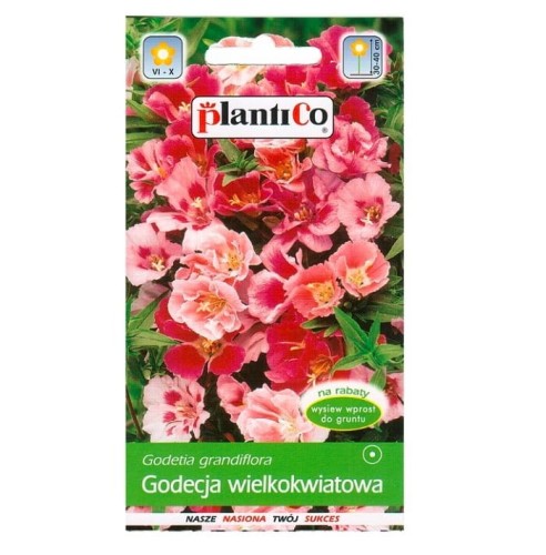 GODECJA wielkokwiatowa nasiona Plantico 1g