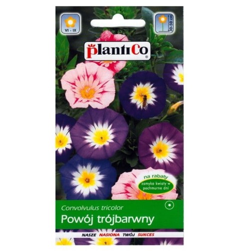 POWÓJ TRÓJBARWNY nasiona kwiatów Plantico 2g