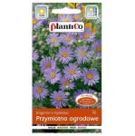 PRZYMIOTNO OGRODOWE - kwitnąca wysoka bylina - nasiona Plantico 0,2g