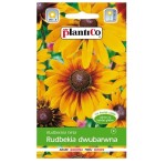 RUDBEKIA DWUBARWNA nasiona kwiatów Plantico 1g