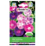 Wilec purpurowy - powój, ipomea - mix kolorów - nasiona PlantiCo 3g