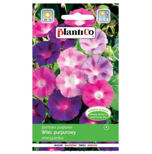 WILEC PURPUROWY MIX nasiona kwiatów Plantico 3g